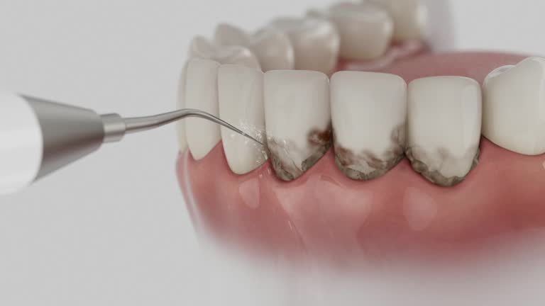Reliable Dental contractor in Chalmette, LA by Dentist Open Now